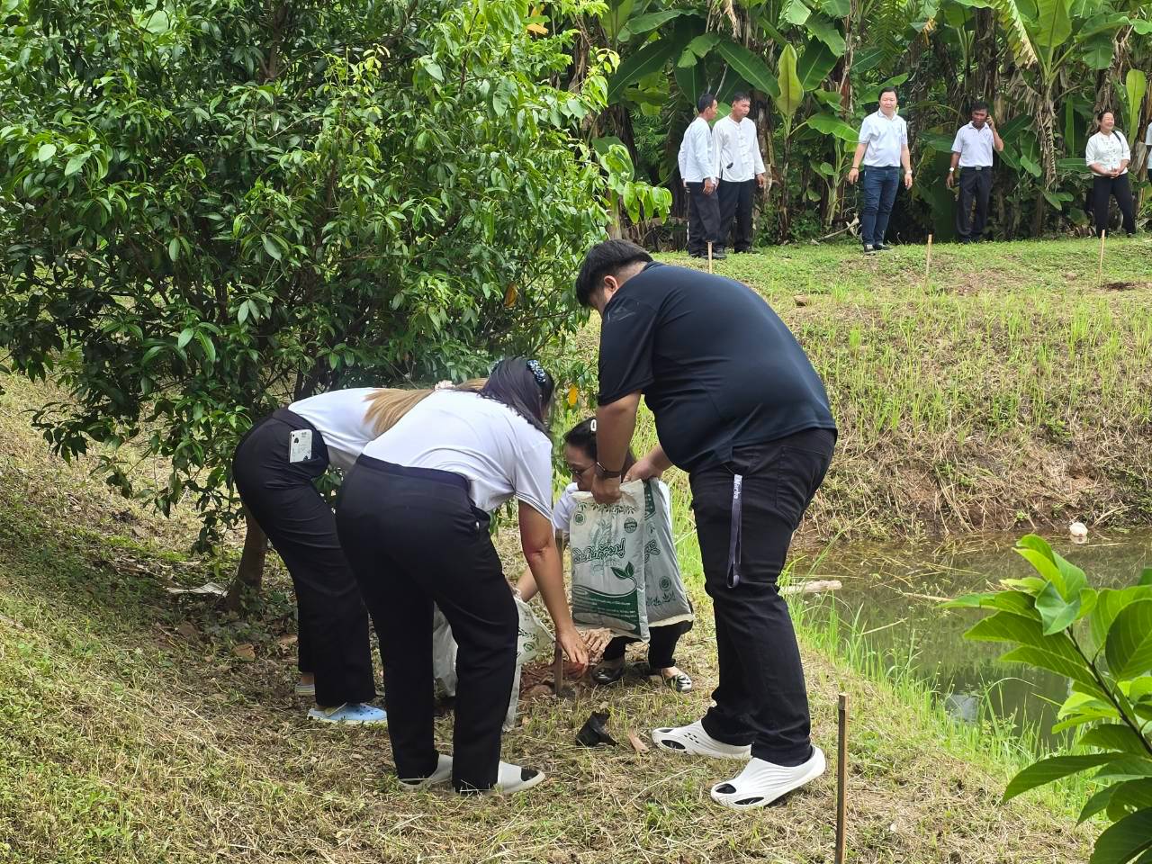 title - ส.ป.ก.แพร่ จัดโครงการ ปลูกเพื่อเปลี่ยน เปลี่ยนเพื่อยั่งยืน  เทิดไท้องค์ทศมราชา เพื่อเพิ่มพื้นที่สีเขียวในเขตปฏิรูปที่ดิน